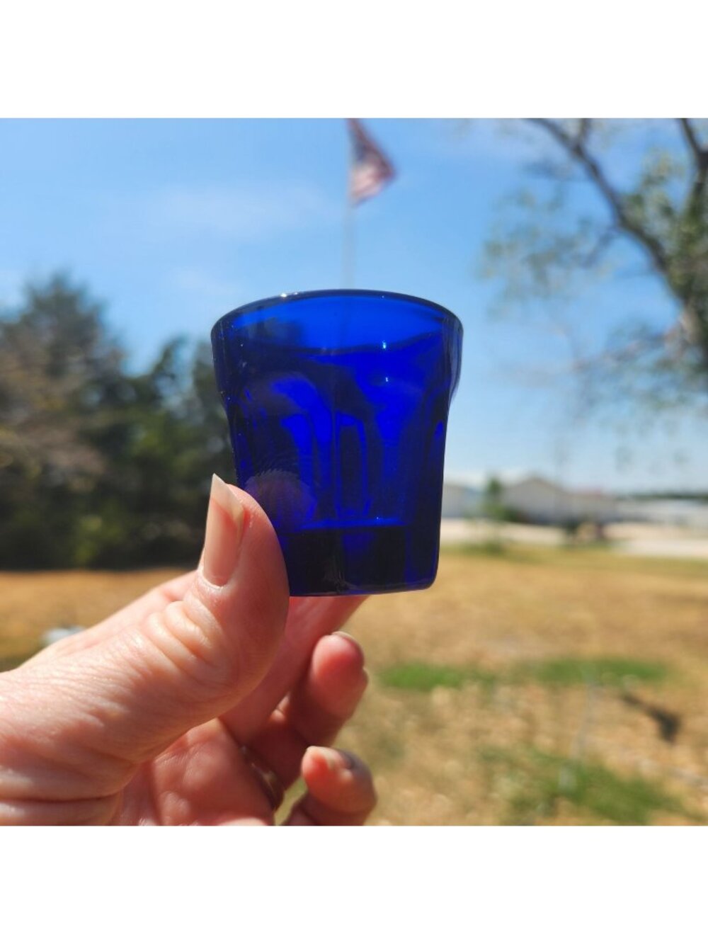 Cobalt Blue Shot Glasses Set of 6 Thick Glass Bar Accessories